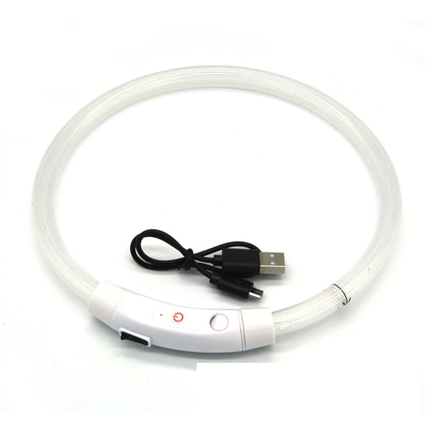 LED Dog Collar Light Up Dog Collars USB Rechargeable TPU Glow Safety Basic Dog Collars for Large Medium Small