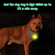 LED Pet Pendant Collar Waterproof Dog Collar Light for Outdoor Walking Safety Silicone LED Dog Collar