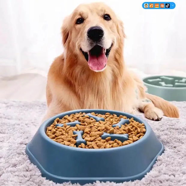 PP material dog and cat slow food bowl non-slip pet feeding bowl small dog large dog food bowl cat bowl anti-choking bowl