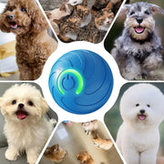 1PC Smart Dog Toy Ball Electronic Interactive Pet Toy Moving Ball USB Automatic Moving Bouncing For Puppy Kitten Birthday Gift
