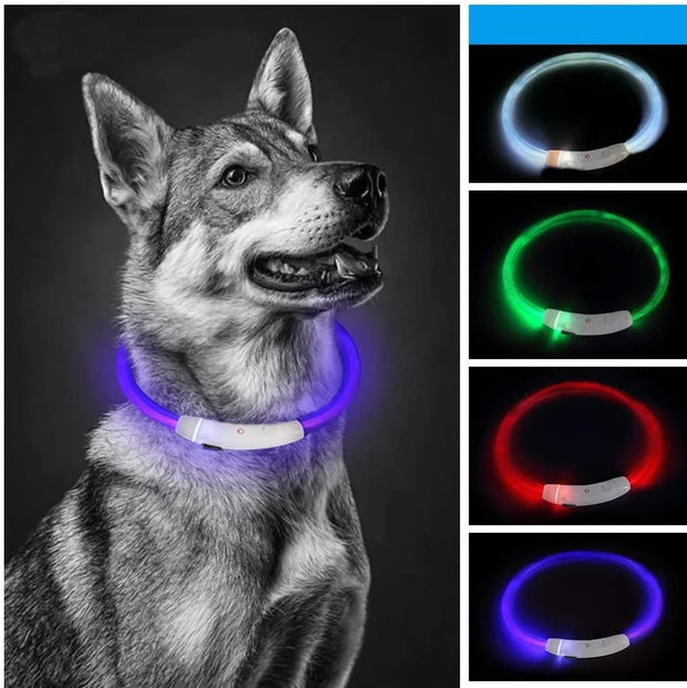 LED Dog Collar Light Up Dog Collars USB Rechargeable TPU Glow Safety Basic Dog Collars for Large Medium Small