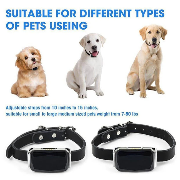 G12 GPS Smart Pet Locator Universal Waterproof GPS Location Collar For Cats And Dogs Positioning Tracker Locating