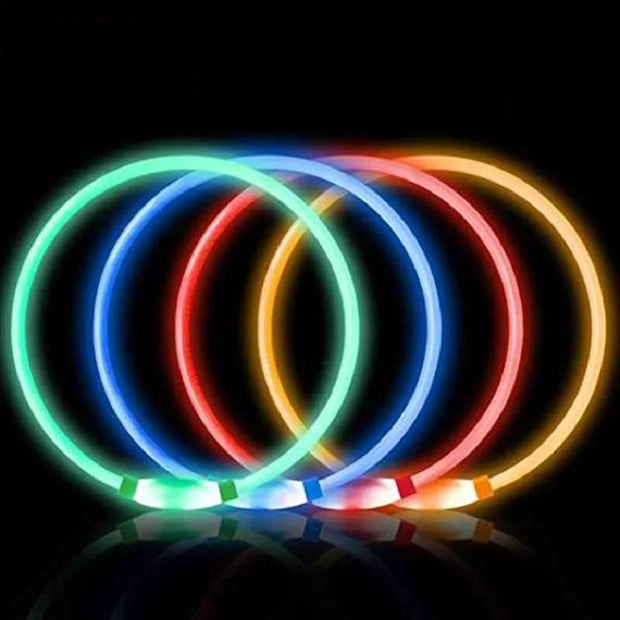 LED Dog Collar Light Up Dog Collars USB Rechargeable TPU Glow Safety Basic Dog Collars for Large Medium Small