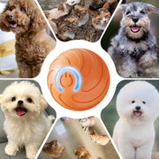 1PC Smart Dog Toy Ball Electronic Interactive Pet Toy Moving Ball USB Automatic Moving Bouncing For Puppy Kitten Birthday Gift