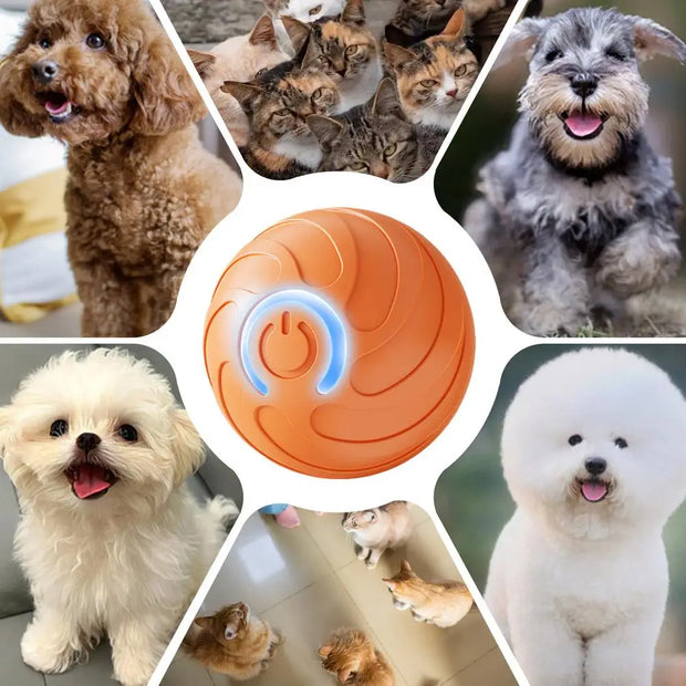 1PC Smart Dog Toy Ball Electronic Interactive Pet Toy Moving Ball USB Automatic Moving Bouncing For Puppy Kitten Birthday Gift