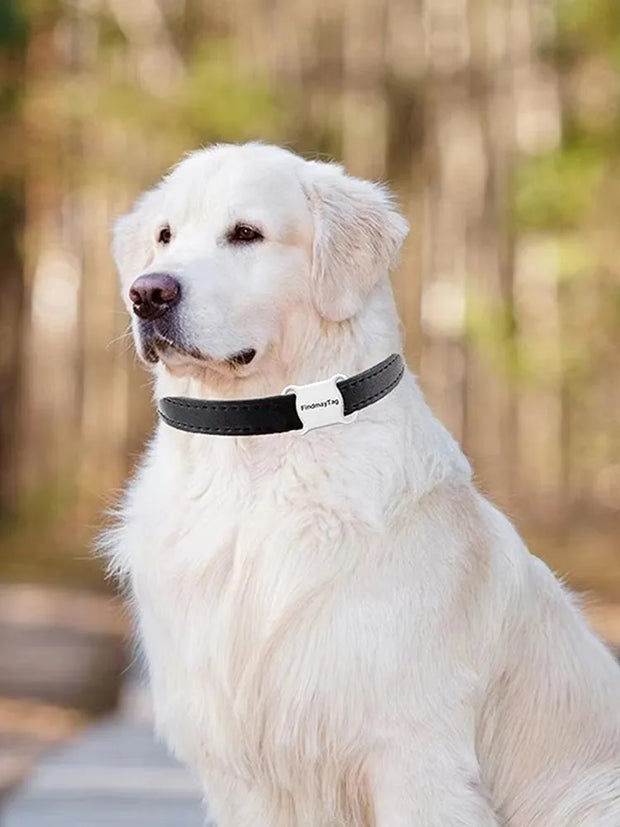 Mini Bluetooth Cat Dog GPS Tracker Anti Lost Waterproof GPS Locator Real-time Collars For Cats And Puppies Remote Global Locator
