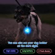 LED Pet Pendant Collar Waterproof Dog Collar Light for Outdoor Walking Safety Silicone LED Dog Collar
