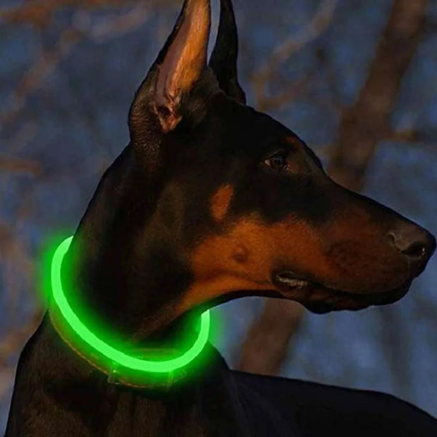 LED Dog Collar Light Up Dog Collars USB Rechargeable TPU Glow Safety Basic Dog Collars for Large Medium Small