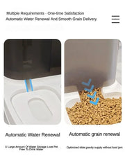 2 in 1 Pet Automatic Feeder Dry Food Storage Container Large Plastic Visible Pet Water Fountain Automatic Pet Food Dispenser