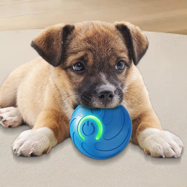 1PC Smart Dog Toy Ball Electronic Interactive Pet Toy Moving Ball USB Automatic Moving Bouncing For Puppy Kitten Birthday Gift