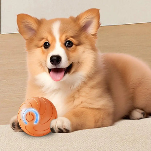 1PC Smart Dog Toy Ball Electronic Interactive Pet Toy Moving Ball USB Automatic Moving Bouncing For Puppy Kitten Birthday Gift