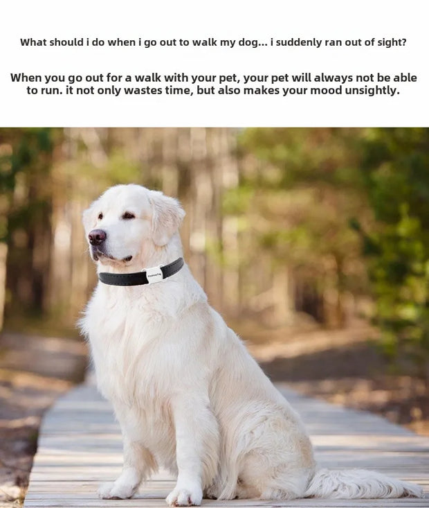 Mini Bluetooth Cat Dog GPS Tracker Anti Lost Waterproof GPS Locator Real-time Collars For Cats And Puppies Remote Global Locator