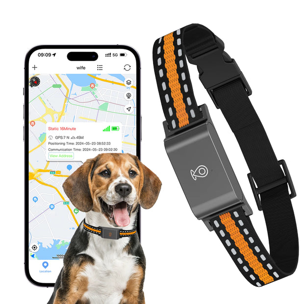 IP67 Waterproof Mini 4G GPS Animal Tracker Collar Anti-Lost Real Time Tracking Dog Cat Locator Pet Dog Cat Fashion Neck Collar