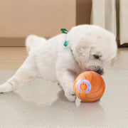 1PC Smart Dog Toy Ball Electronic Interactive Pet Toy Moving Ball USB Automatic Moving Bouncing For Puppy Kitten Birthday Gift