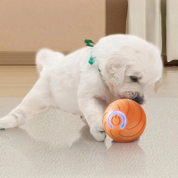1PC Smart Dog Toy Ball Electronic Interactive Pet Toy Moving Ball USB Automatic Moving Bouncing For Puppy Kitten Birthday Gift